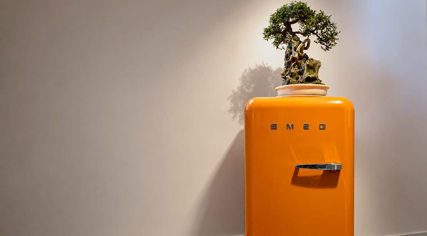 Oranger Kühlschrank, darauf ein Bonsai in einer Schale